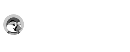 creation site internet ecommerce prestashop